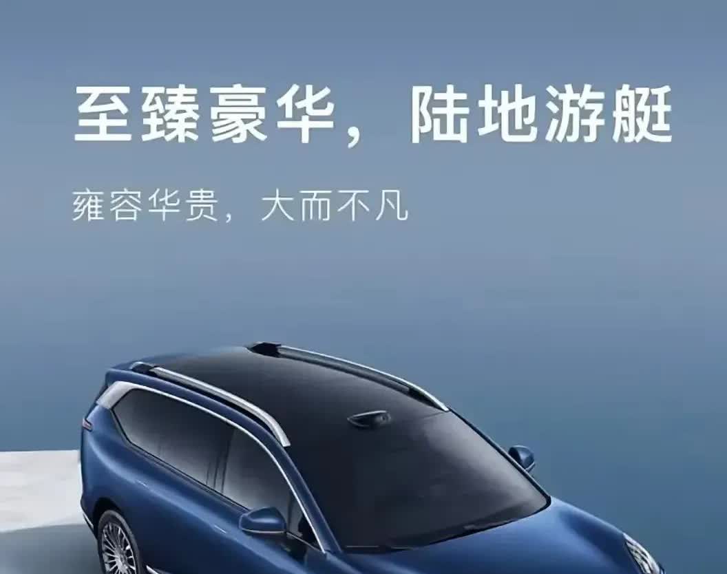 听我一句劝，​2025买车不纠结：1.通勤用，纯电车！2.短途用，混动车