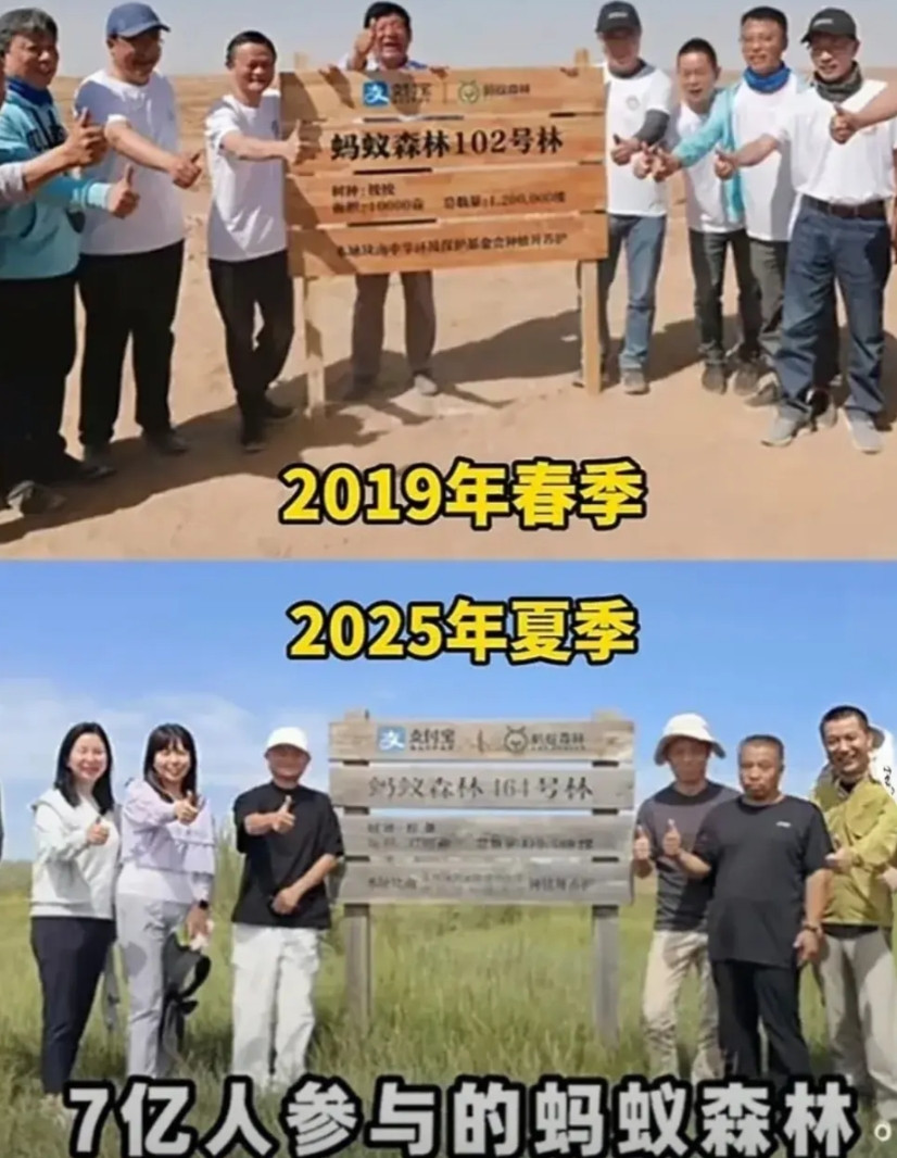 时隔六年，马云又现身蚂蚁森林，和护林员一起吃西瓜，谈笑风生。他身穿黑T恤，白裤