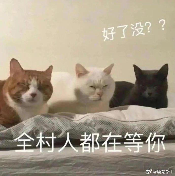 为什么来来回回震荡？答案就一个：主力没进场。这几天的盘面，全是市场原生哆箜在硬刚