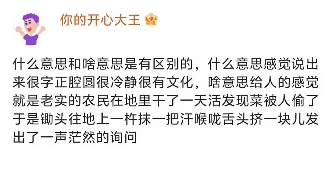 什么意思和啥意思是有区别的…