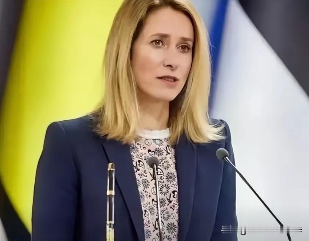 爱沙尼亚的“代表处”闹剧：承诺两年未兑现，背后是立陶宛的前车之鉴2023年，