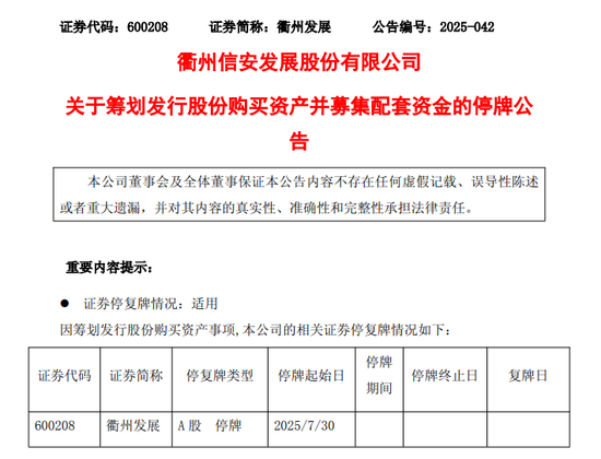 600208, 筹划重大事项, 停牌!