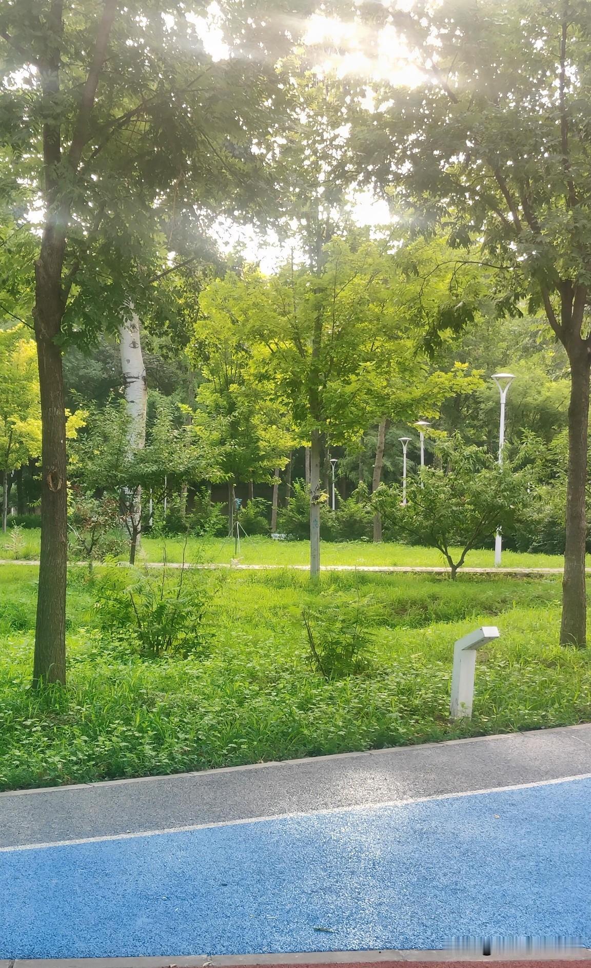 3+2是全日制大专学历吗3+2是否属于全日制大专分两种情况，核心看