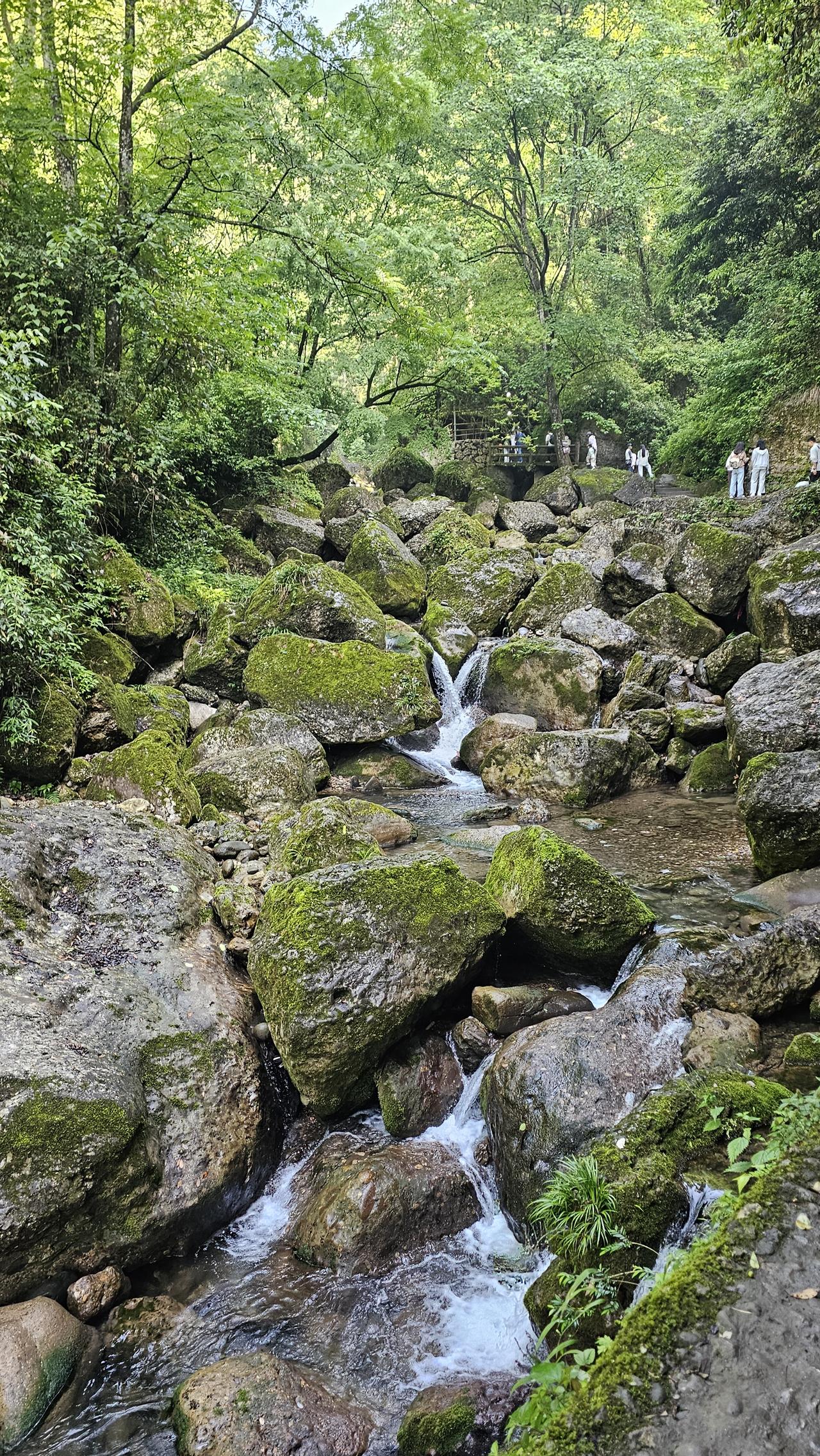 中国值得爬无数次的山，并非出名的那五大名山！成都的青城山分前山、后山和外山3