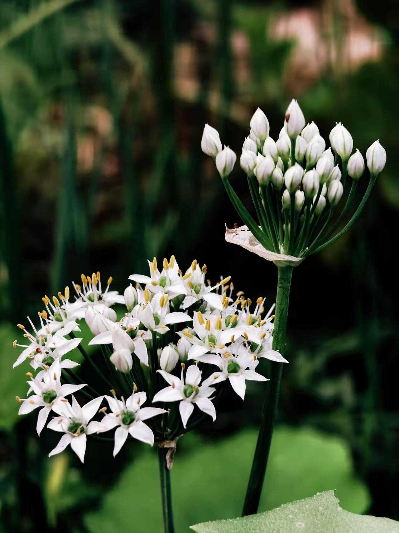 苦尽甘来时，再讲来时路。人的心境，会随着时间悄然流转，那些曾经以为不会改变的