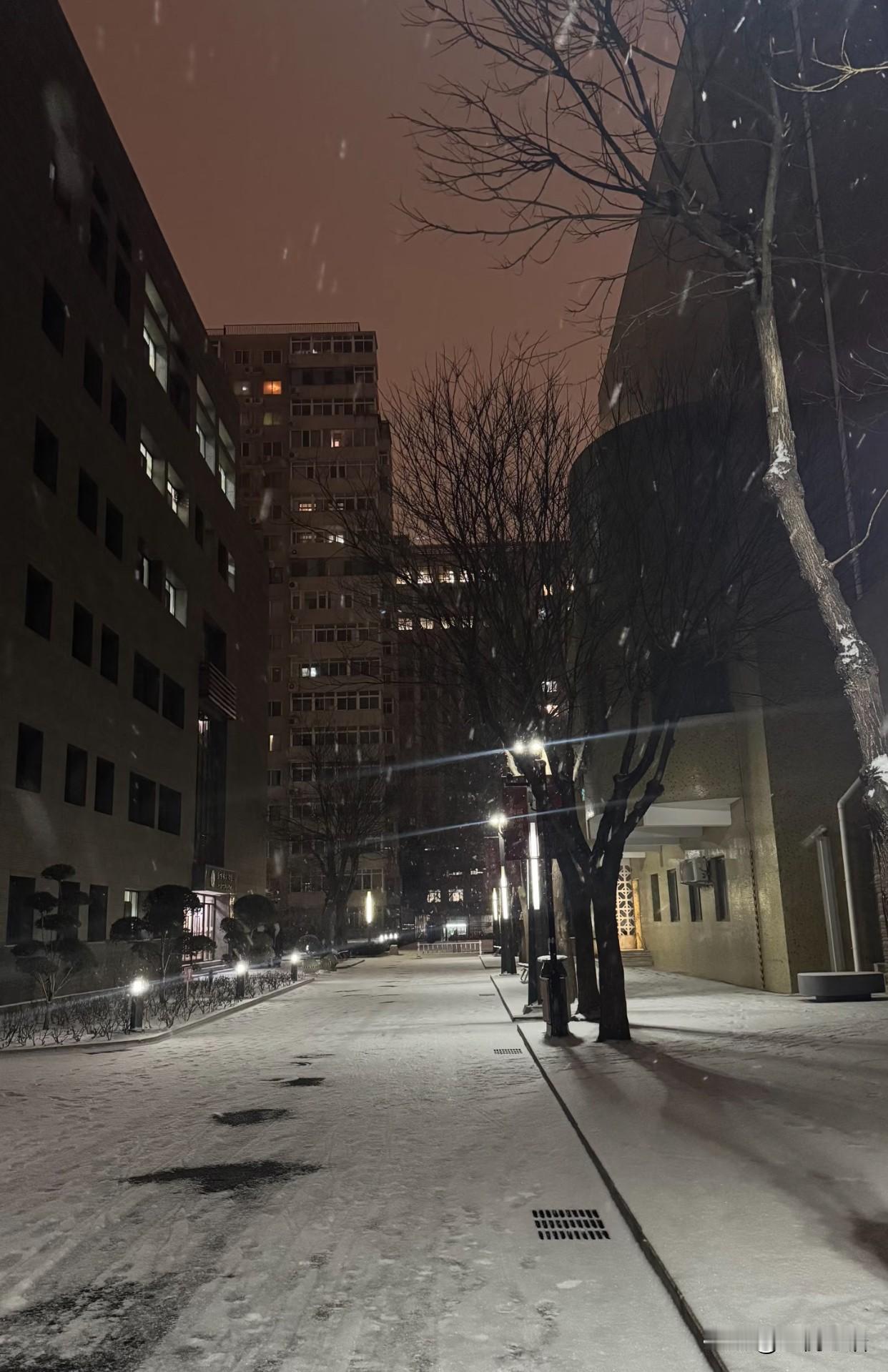 越长大越发现，这世界根本不是非黑即白。这几年跌跌撞撞，被现实狠狠上了好几课