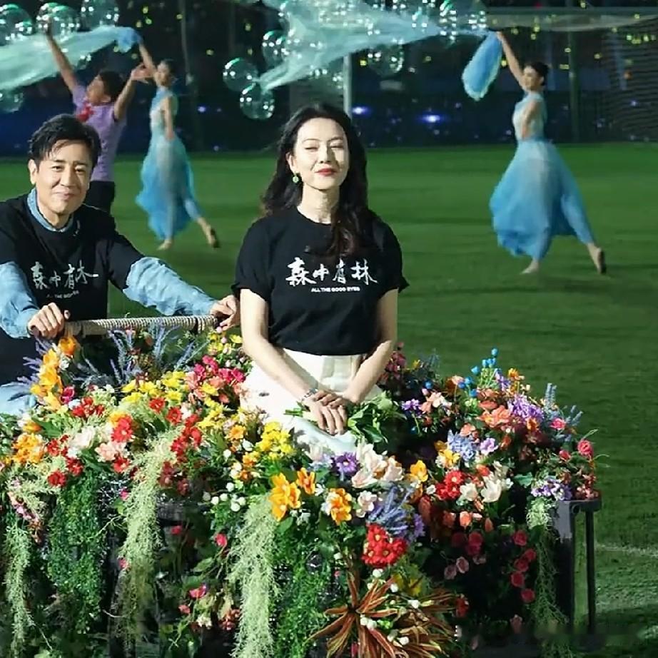 于和伟和高圆圆在活动现场，他们开着花车，徜徉在绿色如茵的草坪上，那画面别提有多美