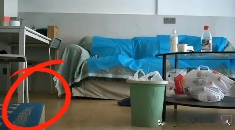 细心的网友肯定能发现，拍视频的工具应该是藏在一摞书后面了。用书本当遮挡确实挺会选