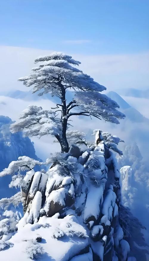 上联：雨欺弱柳千行泪下联：雪压劲松一身绵