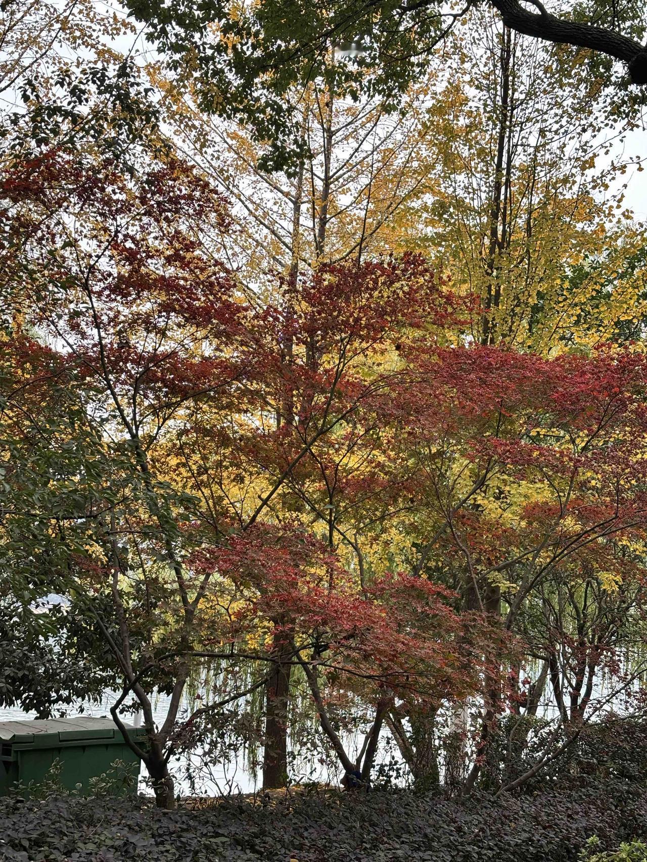 我一直觉得初中内容知识简单，没必要报辅导班去提高。直到最近才改变了这种看法。