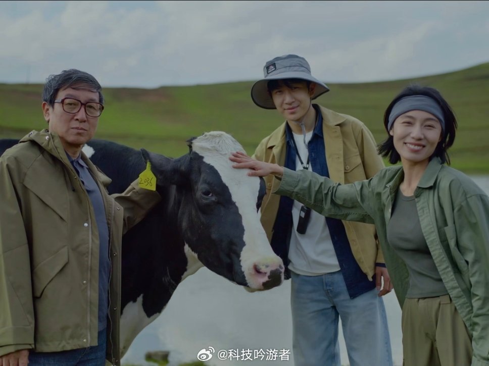 想看小牛竟被牧场做局好牛奶源自好牧场，在我看来，高品质牛奶阳光是很重要的，充足的