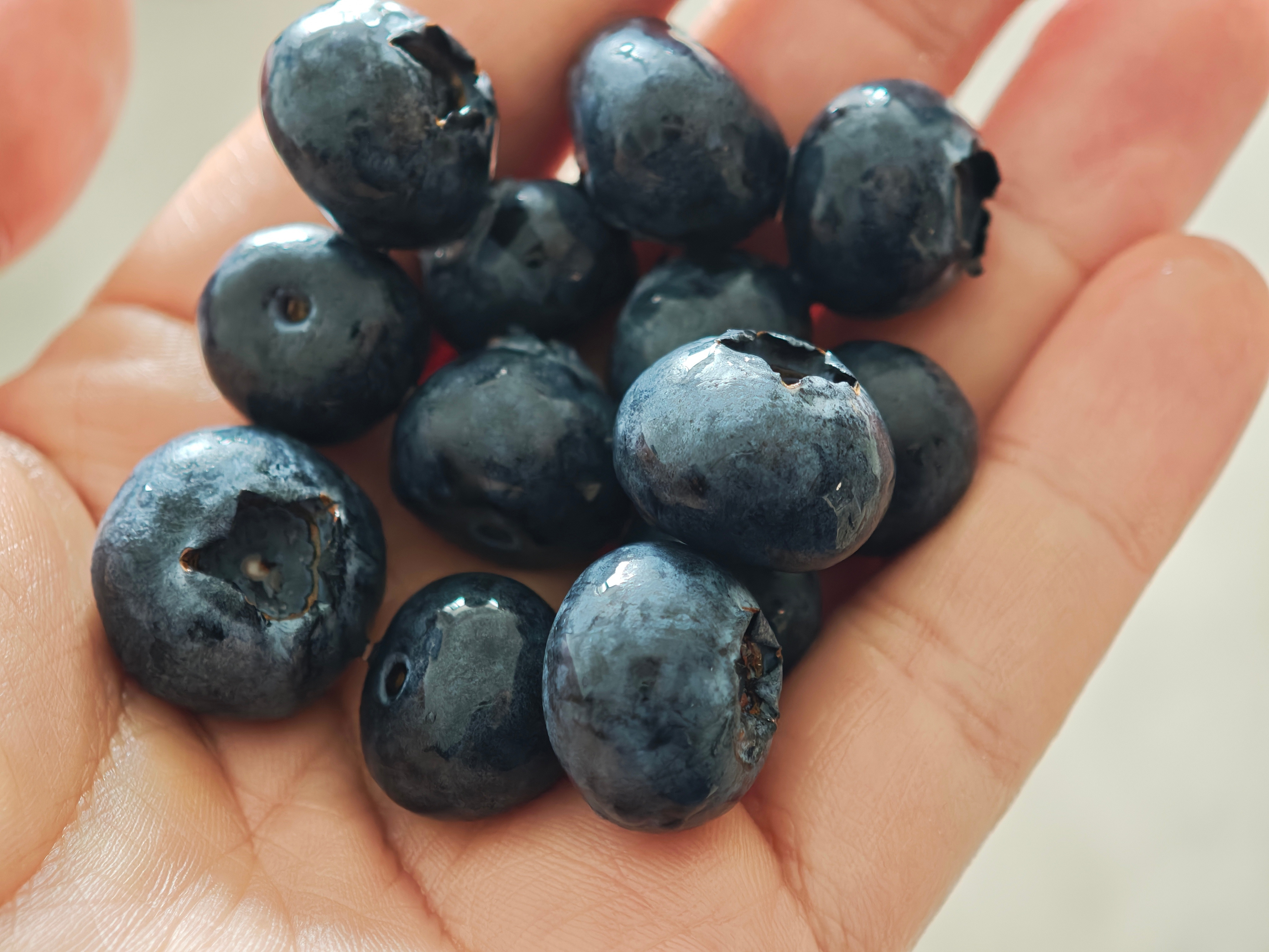 蓝莓现在真便宜，我都不需要一颗一颗吃了，我直接抓一把塞。