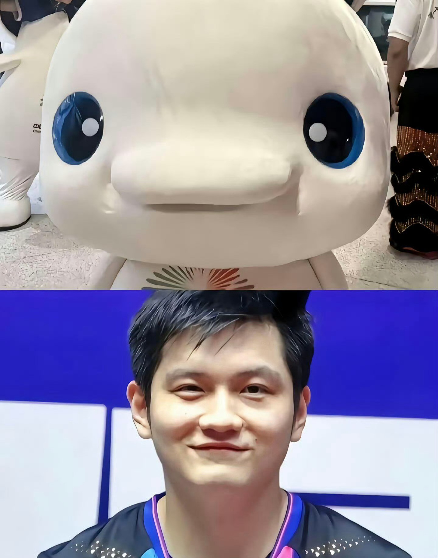 谁能拒绝“反差感拉满”的樊振东！赛场上是横扫千军的“六边形战士”，十战十胜加冕全