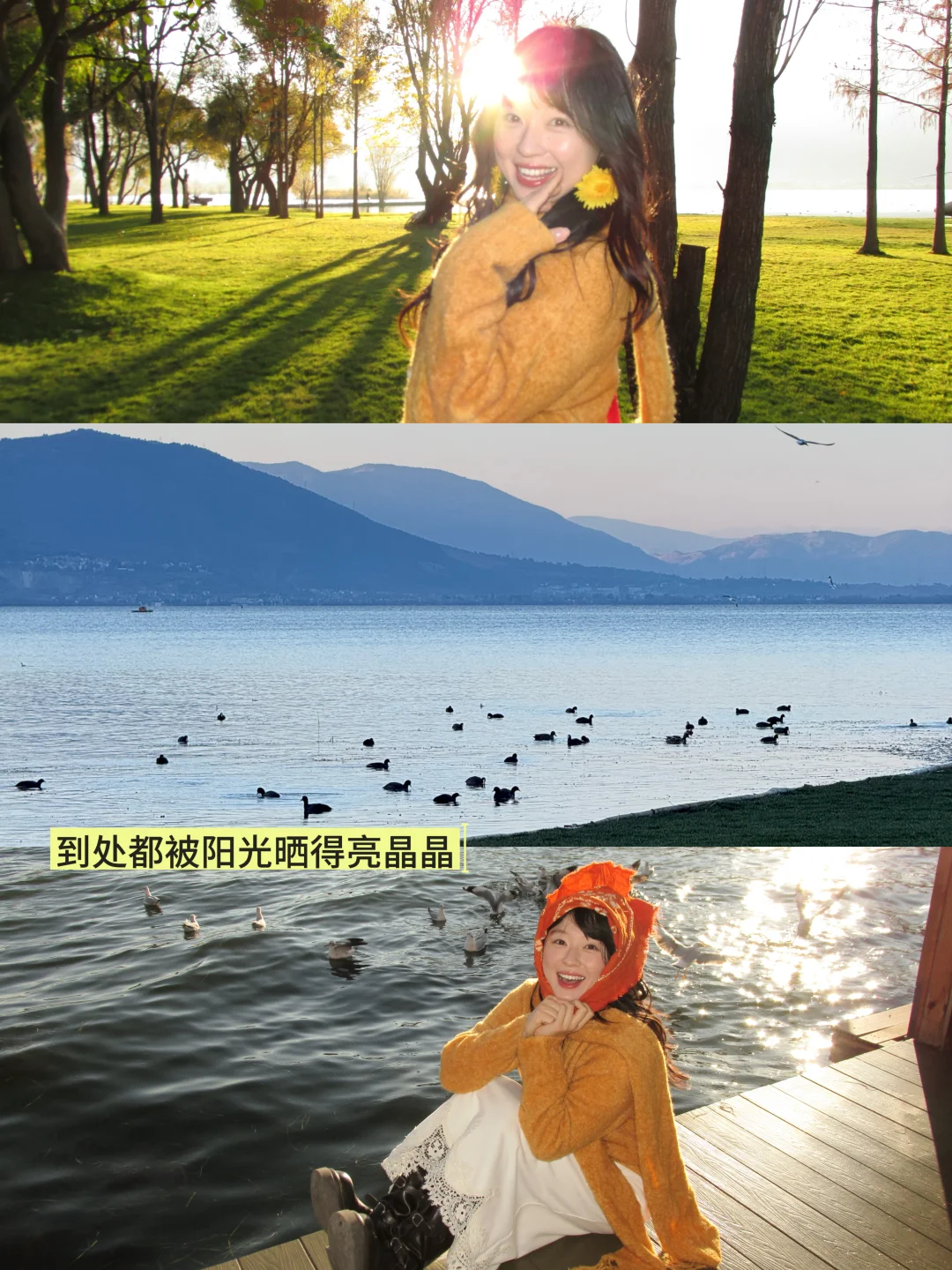 永远喜欢大理的淡季✨冬天的海舌公园美晕了