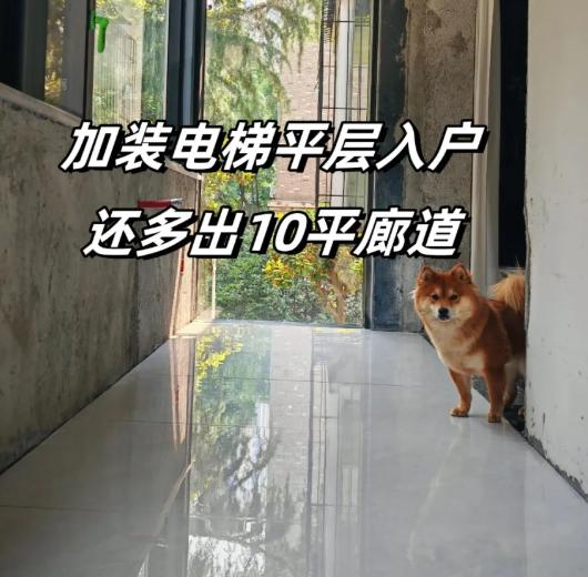老小区加装电梯，1-3楼死活不同意？这个方案一出，全体业主都服了！高低层积怨再深