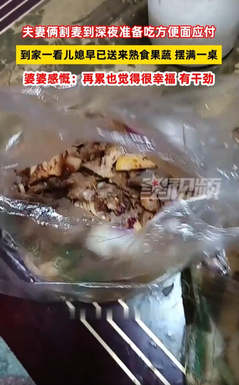 “累死心里也是舒坦的！”河南，一对夫妻割麦到半夜，回家时早已饥肠辘辘，半路上就想