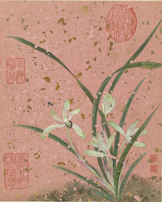【五色洒金笺绝版花鸟！蒋廷锡进献御册，野花竟写满家国心机】清宫一众书画册页里，