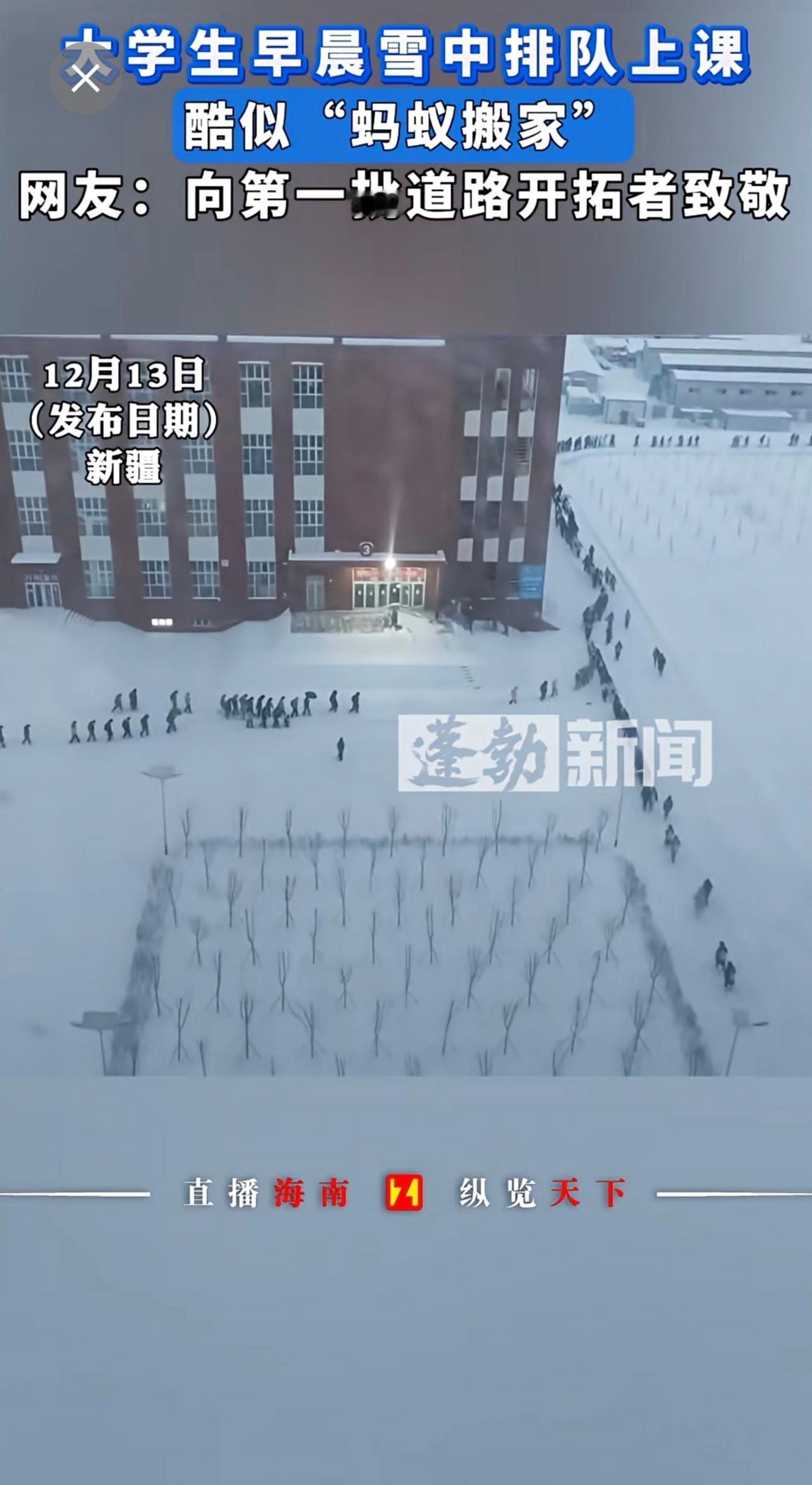 大学生早晨雪中排队上课，酷似“蚂蚁搬家”！网友：向第一批道路开拓者致敬大雪大学