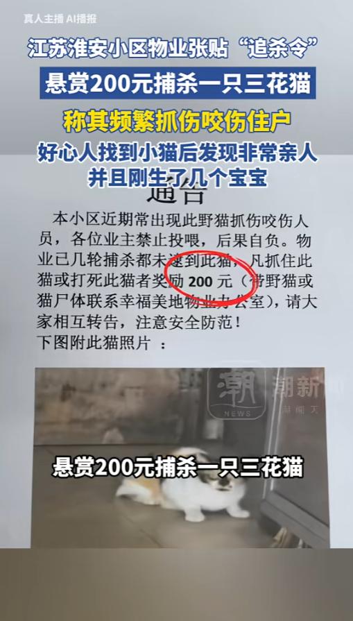 “最毒是人心！”6月26日报道，江苏淮安，一小区物业发出了追杀令，悬赏200杀一