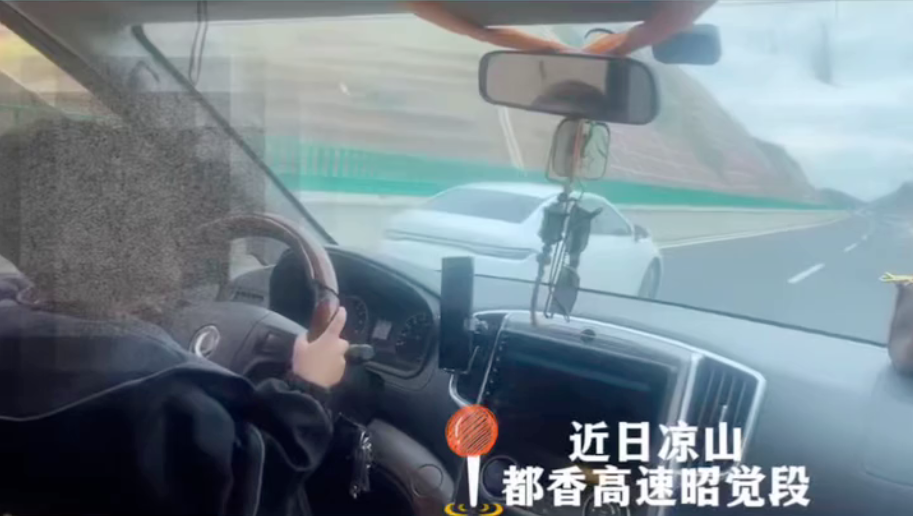 离谱！家长晒6岁半孩子高速“开车”视频，四川警方作出处罚近日一则6岁半孩子在高速路上“开车”家长还发