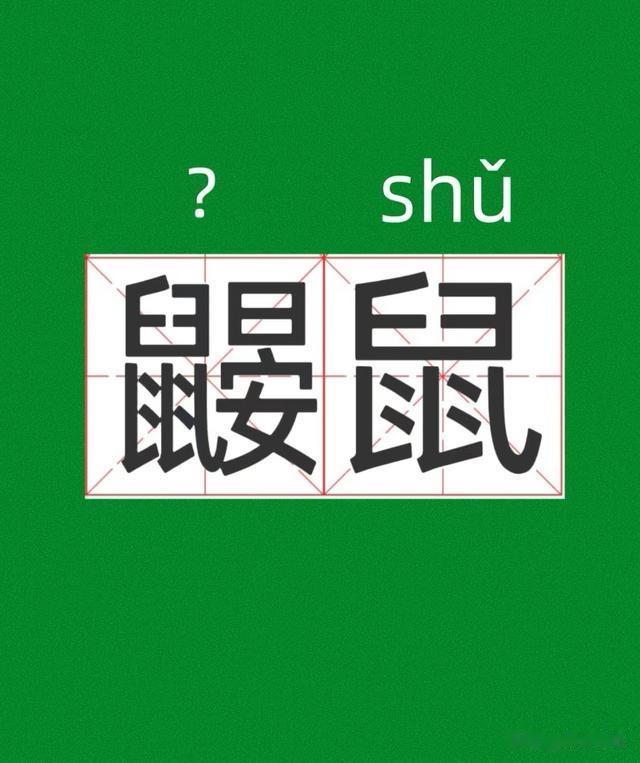 鼹鼠读yǎn shǔ还是yàn shǔ? 正确读音是什么? 你读对了吗?