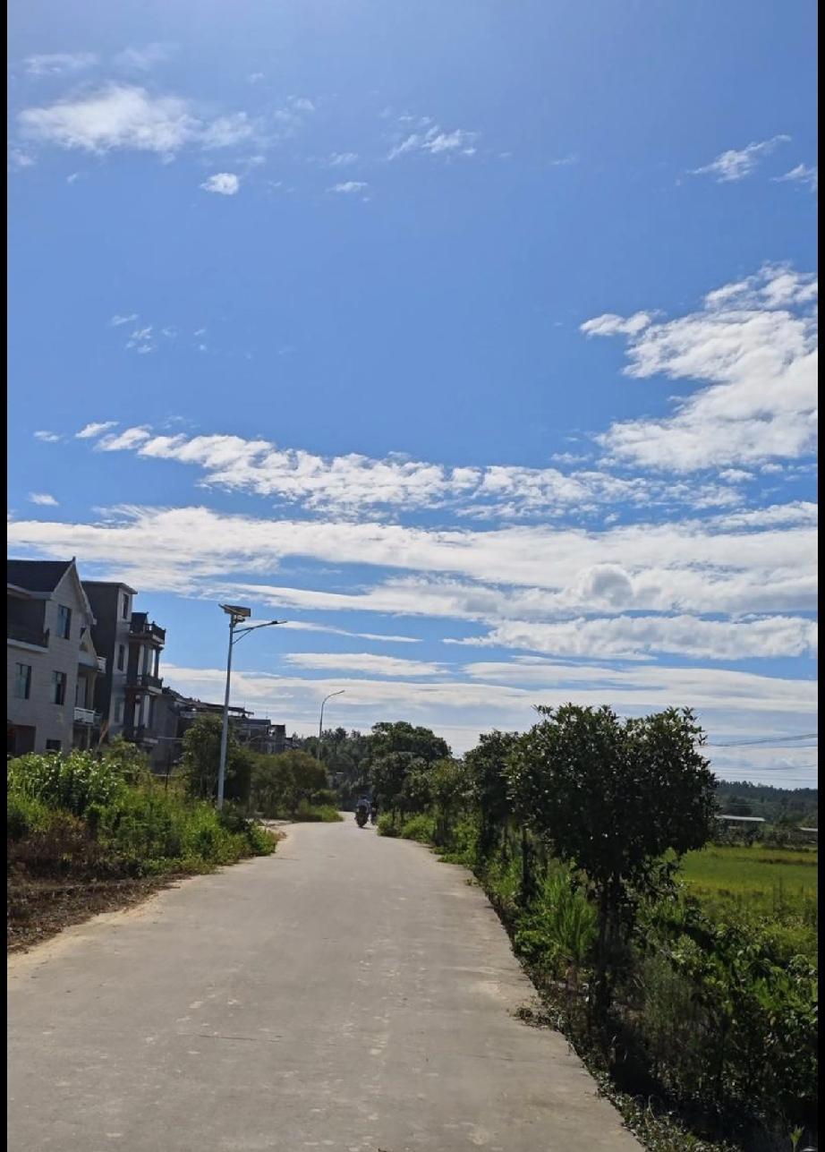 我发现小孩子他是不讲情面的，看事情反而看得更通透，昨天带两小朋友出去玩，我家老二