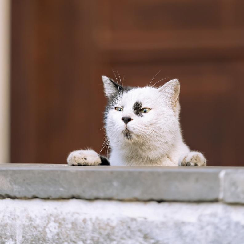 万万没想到，这种事居然会发生在我身边下午上班昏昏欲睡的时候突然听到外面在吵架