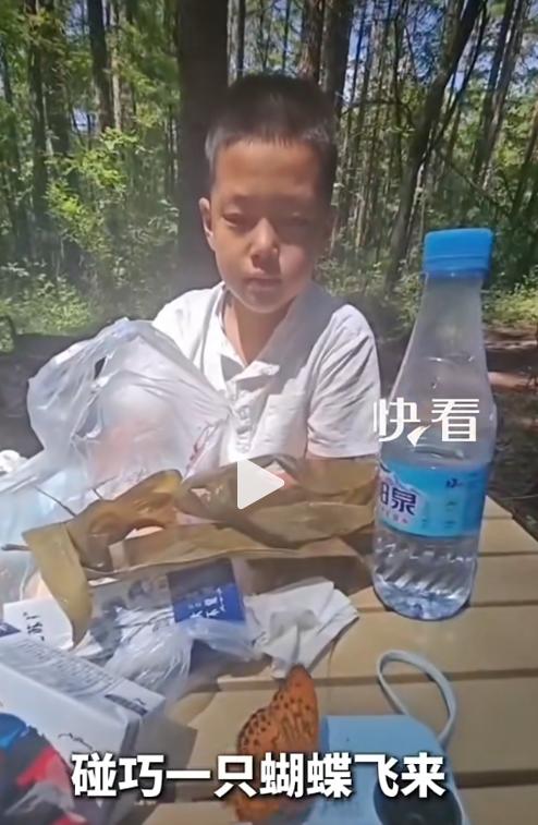 科学解释不了的事那就交给爱，6月22日郊外露营地，一只色彩明亮的蝴蝶绕过草