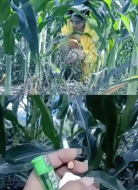 你们就说有没有缘粪吧！这时候应该递烟还是递纸？