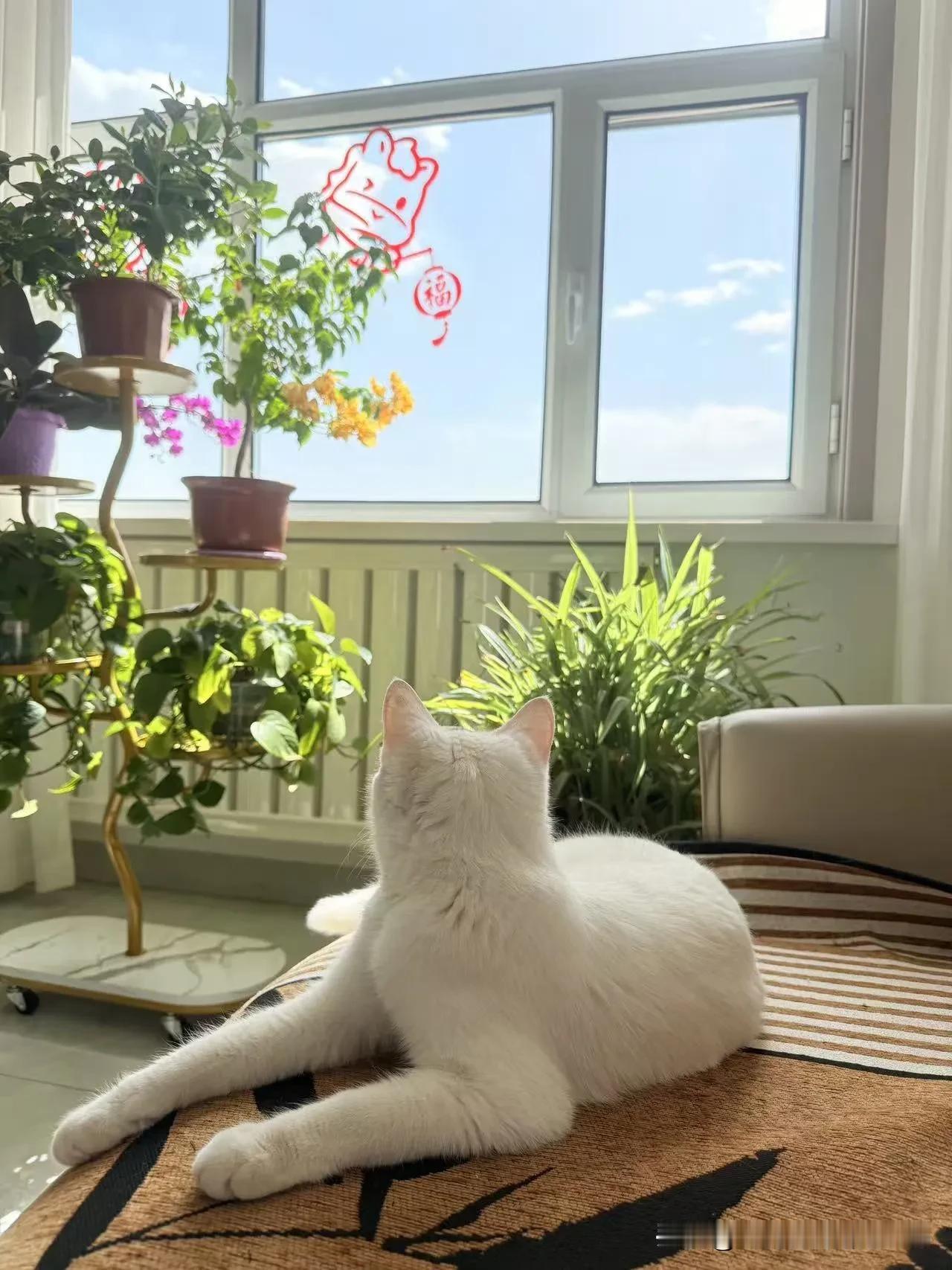 二婚的“半路夫妻”为什么难长久?二婚的“半路夫妻”难长久，主要是有几个坎难跨过