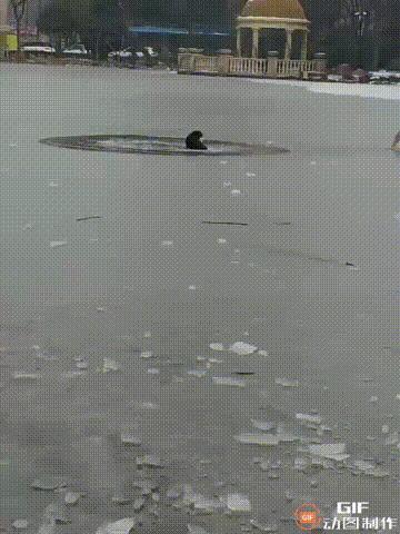 “熊孩子太能折腾了！”河南一处小区内，由于天气严寒，导致湖水都结冰了，一个男孩想