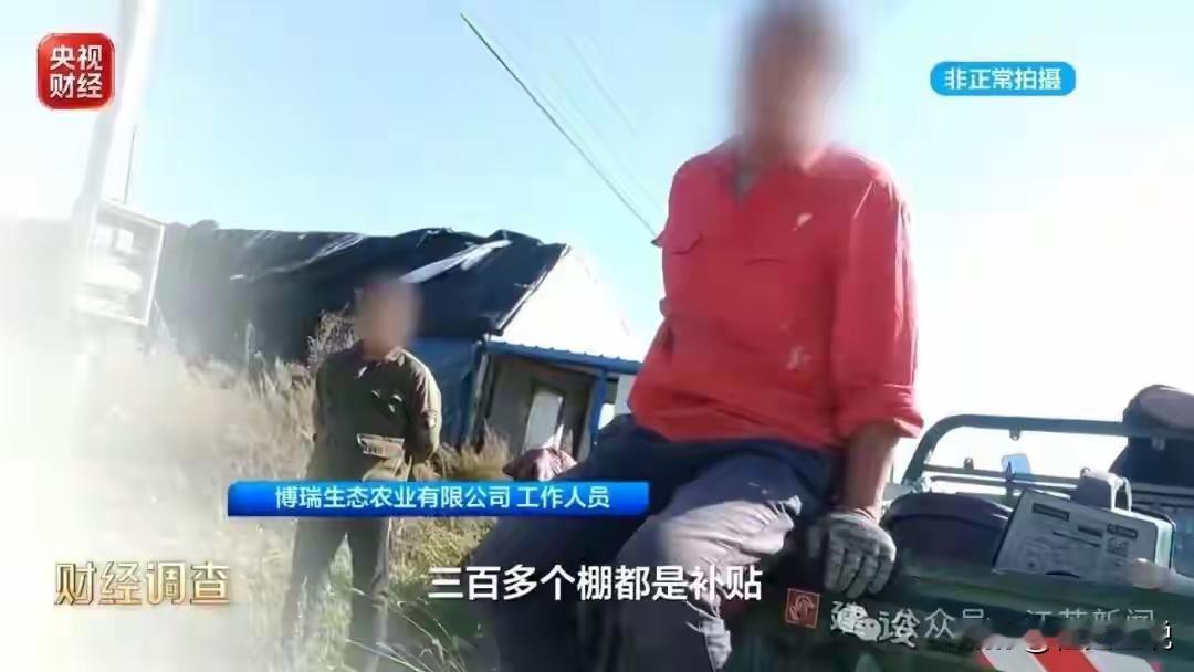 央视曝光了！”吉林松原，一投资15.5亿的蔬菜大棚，占地600公顷，一共9000