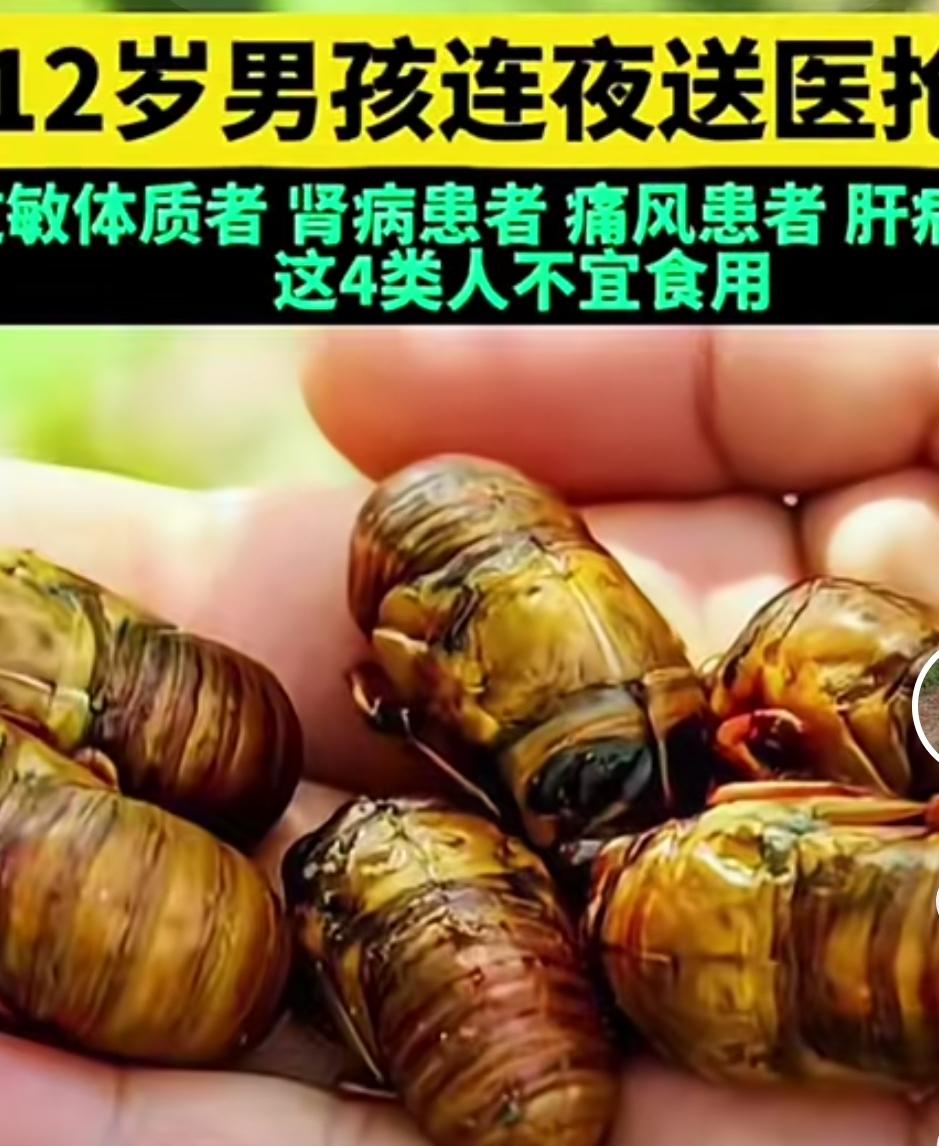 头条热文｜贪吃15只炸知了！男子浑身布满红斑刺痛难忍，急诊医生紧急提醒夏天