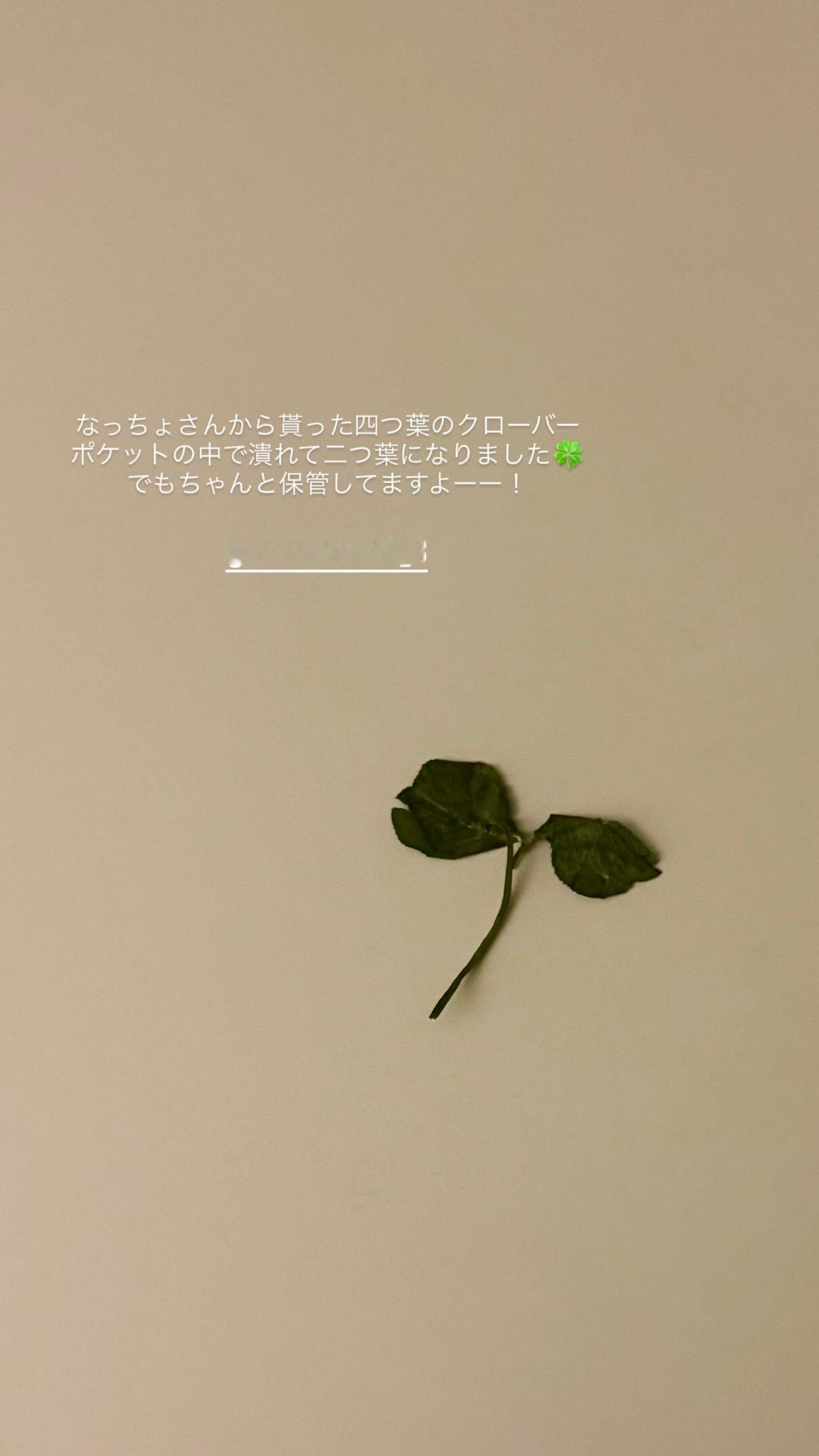渡邉美穂