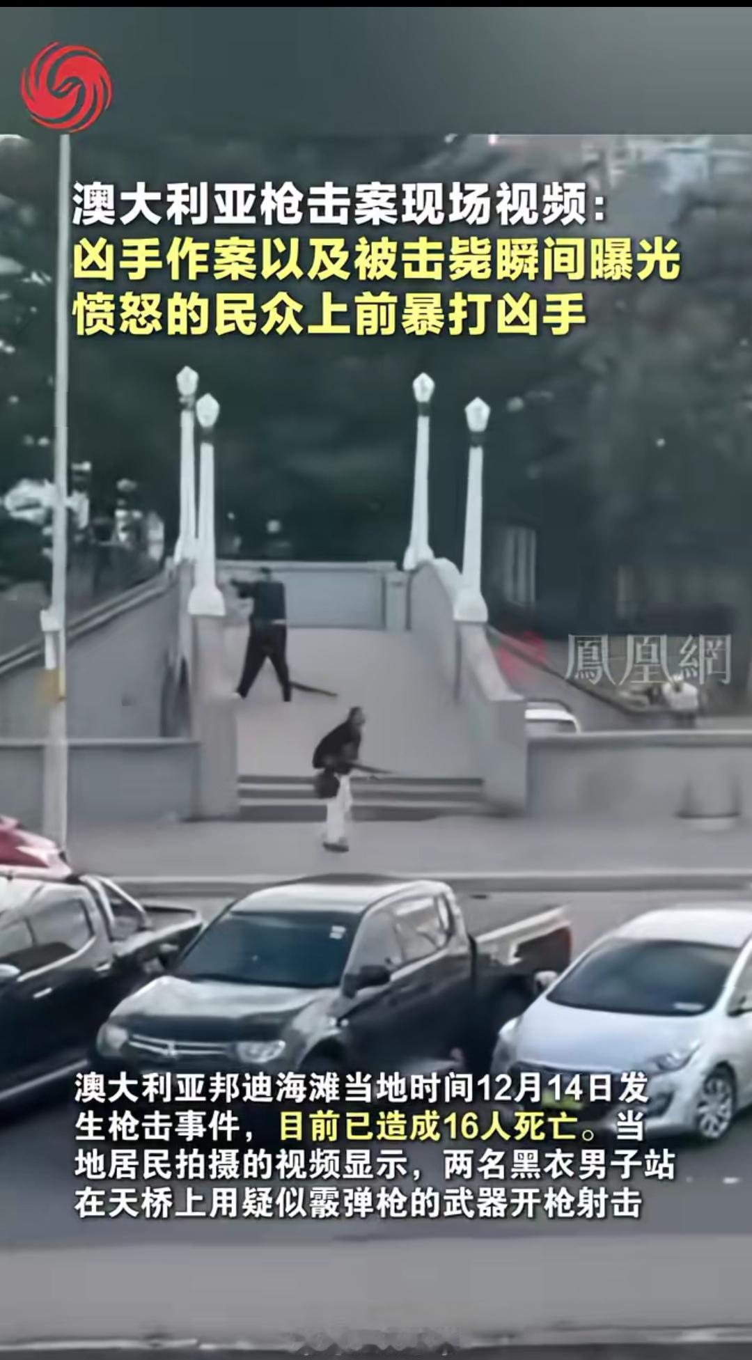 枪响之后，民众的拳头砸醒了谁？澳洲枪击案澳大利亚枪击案现场视频：凶手作案