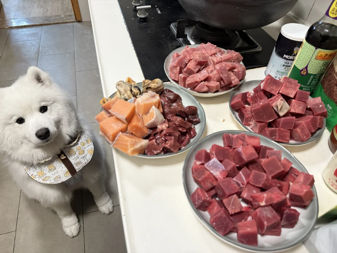 🐶：日子怎么可能和谁过都一样