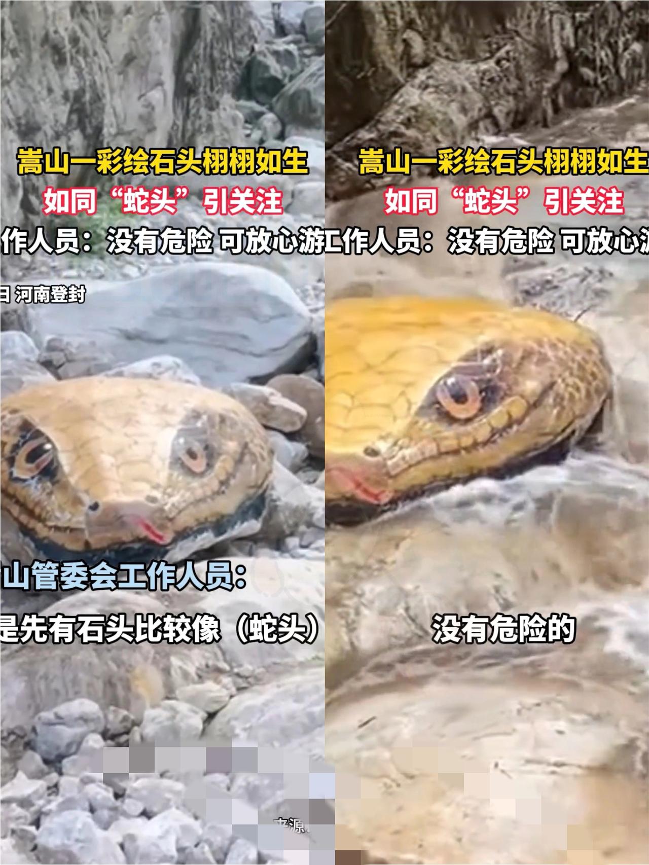 家人们快看！河南一景区的瀑布边突然冒出个巨型蛇头，游客吓得四散跑，拍照手都抖成筛