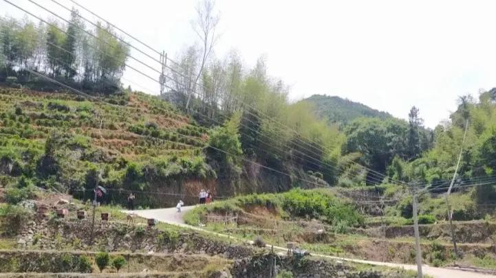 在广东汕头，有一个鲜为人知的好地方——地处闽粤边界的饶平县上饶镇，群山环抱间藏着