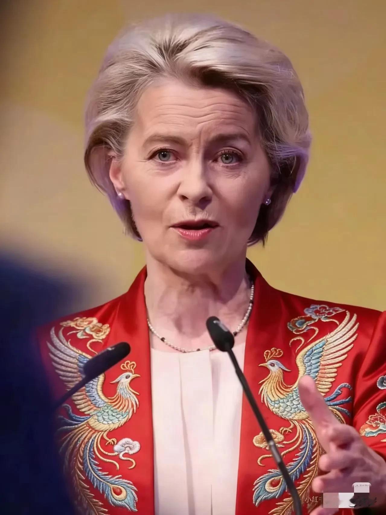 欧盟援助乌克兰最新消息！12月6日欧盟委员会宣布，计划在2026年上半年发行约