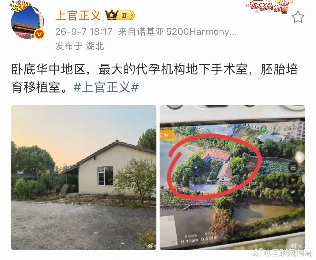 彻底把代孕的老鼠窝捅了！上官正义曝光代孕机构地下手术室！​​​