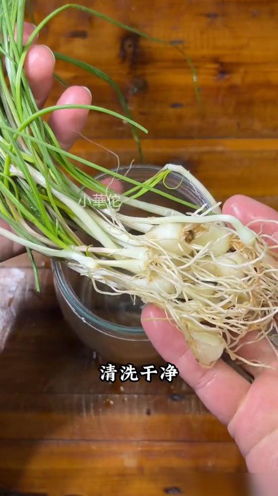 薤白与老红糖。我这段时间刷到好多人都在说这个搭配，说实在的我去年就泡过一罐，