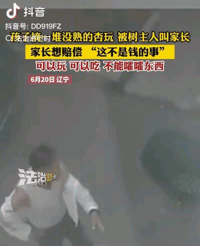 小孩摘没熟的杏子玩，扔得满地都是。数主人叫来家长，给家长小孩都上了一课。
