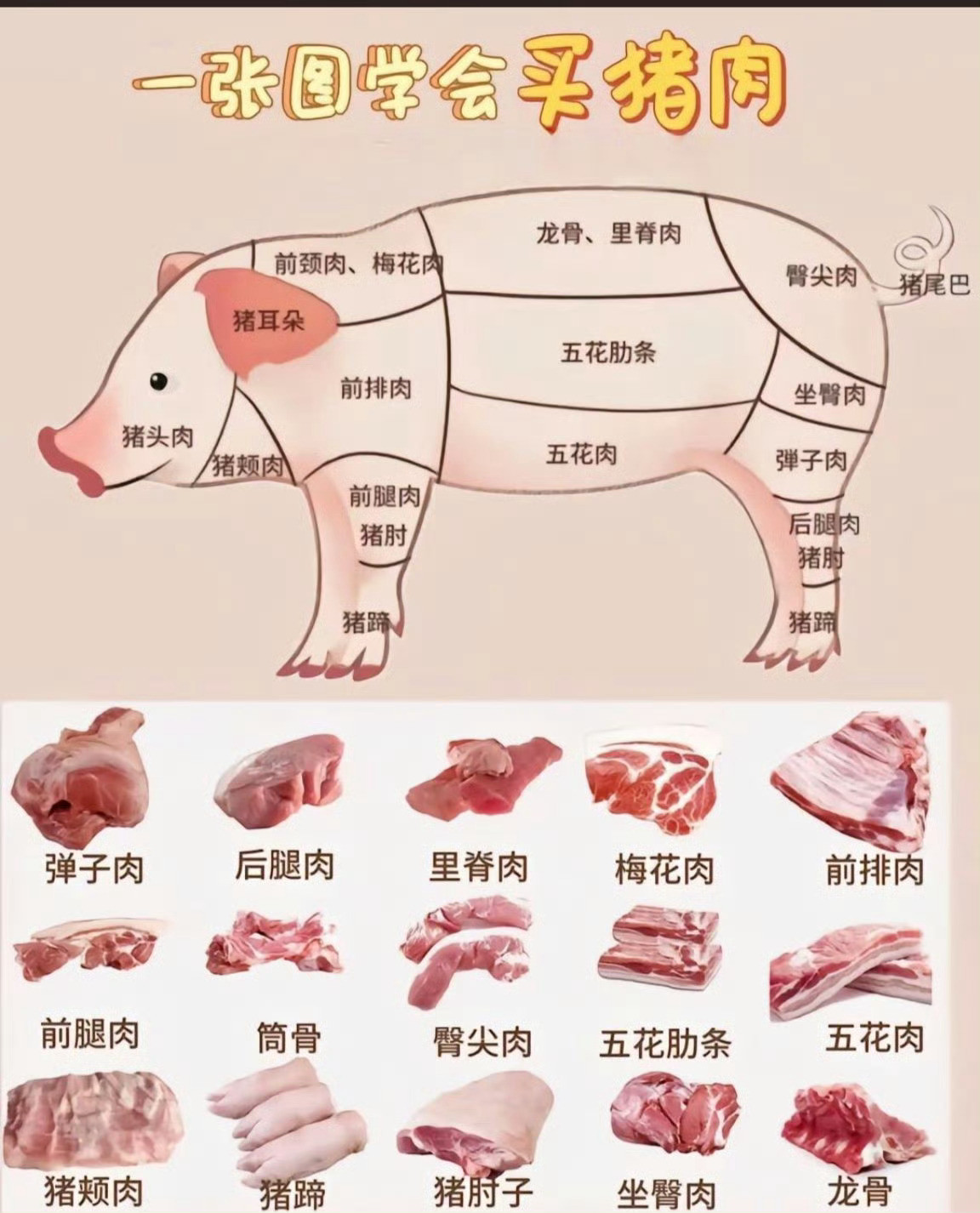 喜欢吃猪肉，不会买猪肉的人有福了！