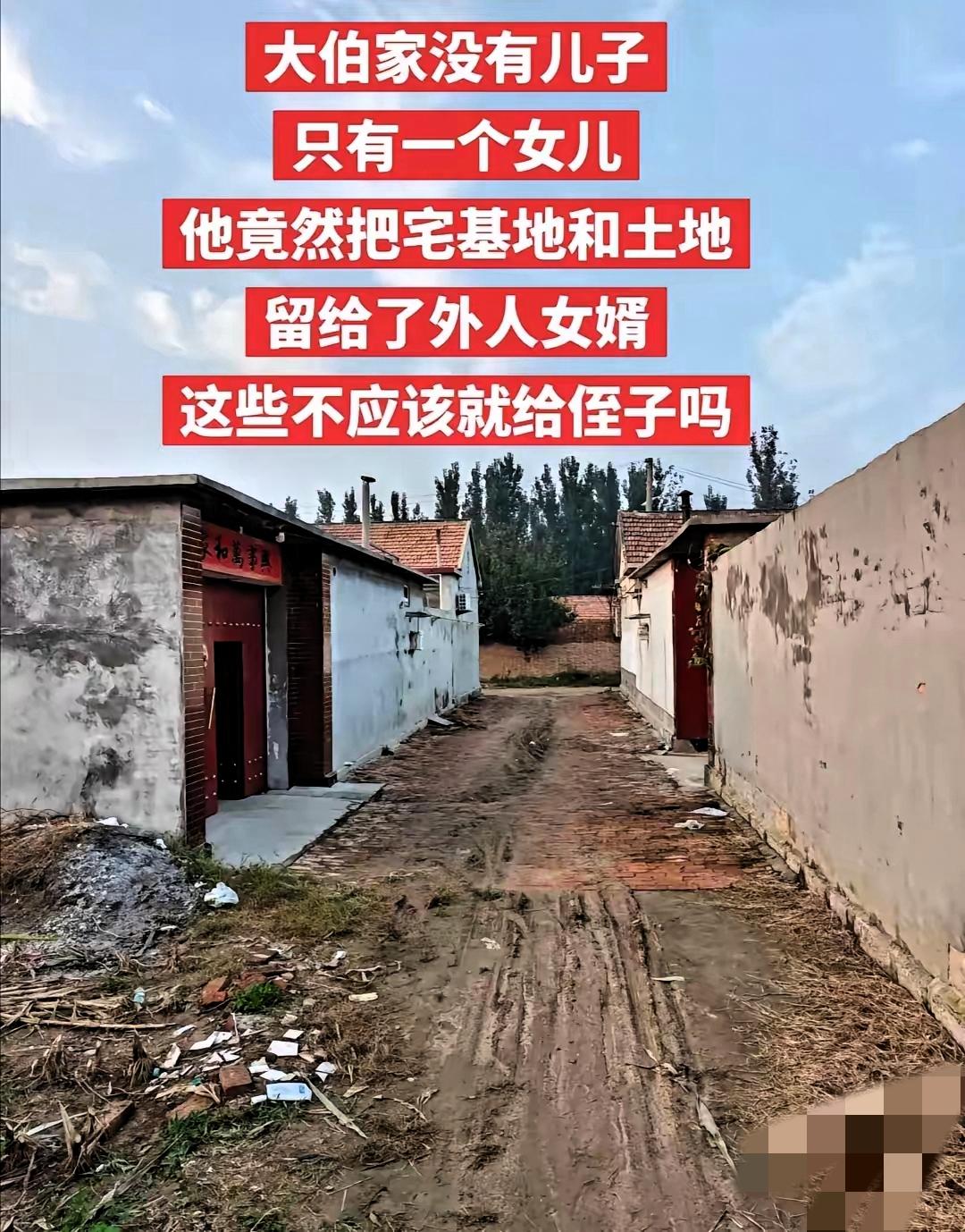 侄子凭啥和女婿争宅基地？这波老人的操作太清醒了！真搞不懂有些侄子的脑回路，