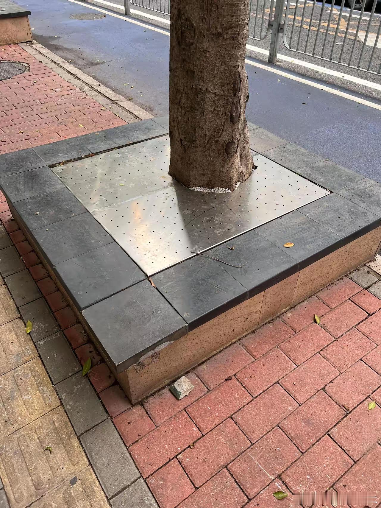 这是怕有人偷树吗？坐标深圳宝安这些树都被不锈钢包围了是怕树被偷吗？​​​