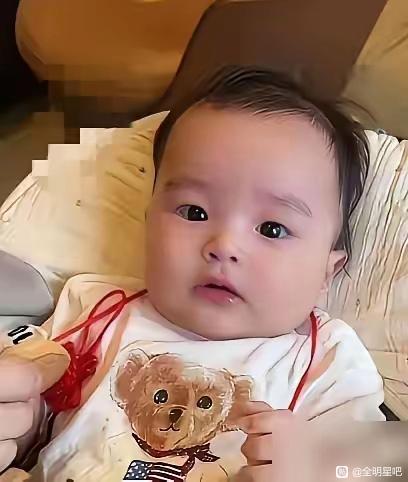小汪宝就是家里的一个小精灵，只要他在家里的气氛就活跃。他还最喜欢自己的姐姐玥儿。