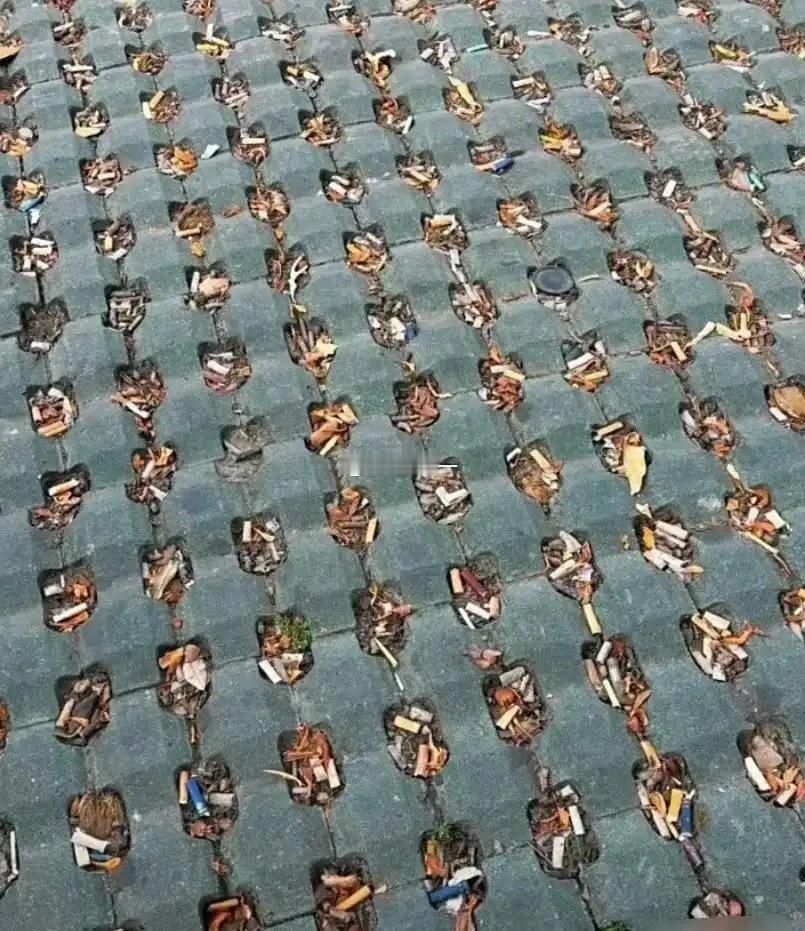 终于知道铺这种地砖的意义了