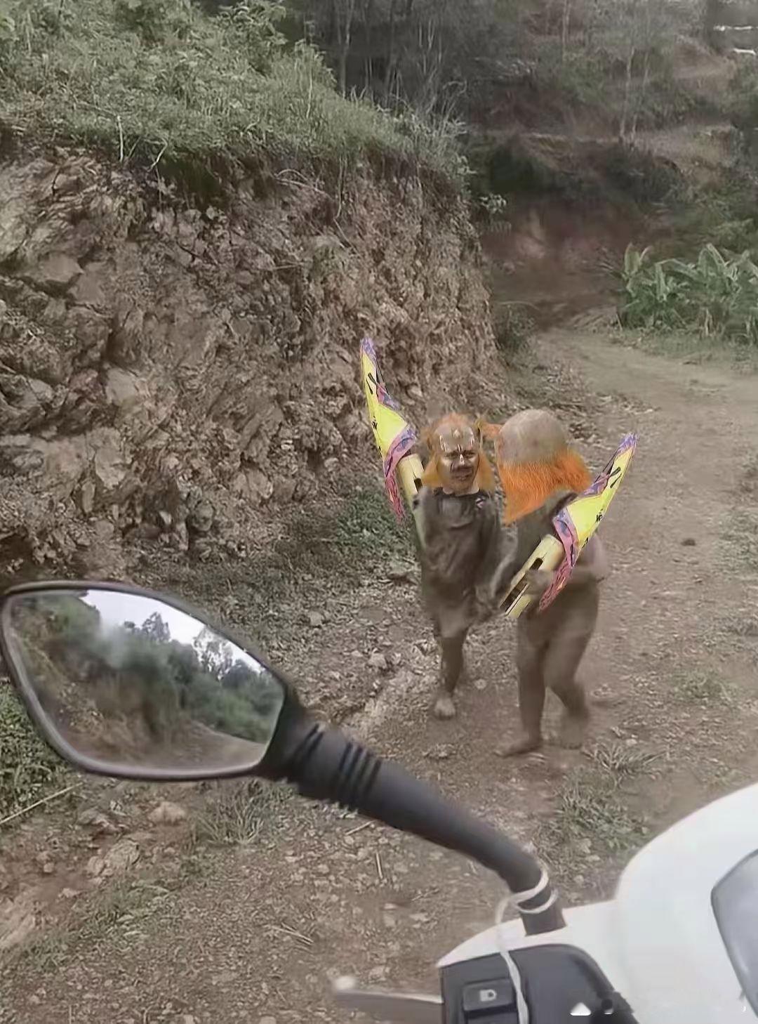 突然看到这两个还把我吓一跳[呲牙笑]