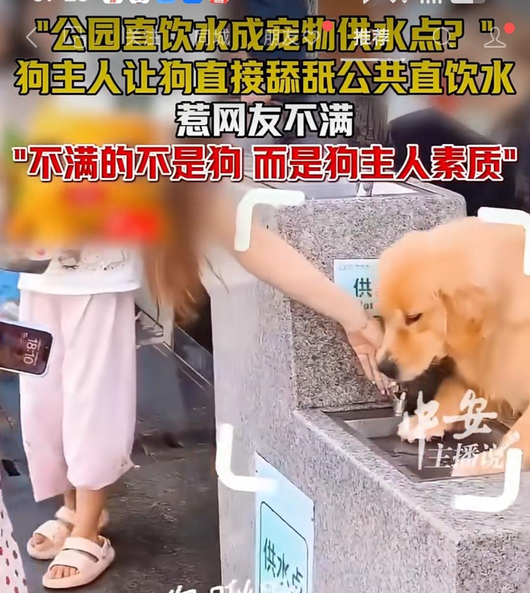 人比狗恶心！一女子帮狗舔舐公园里的直饮水。深圳某公园，公共直饮水台。这