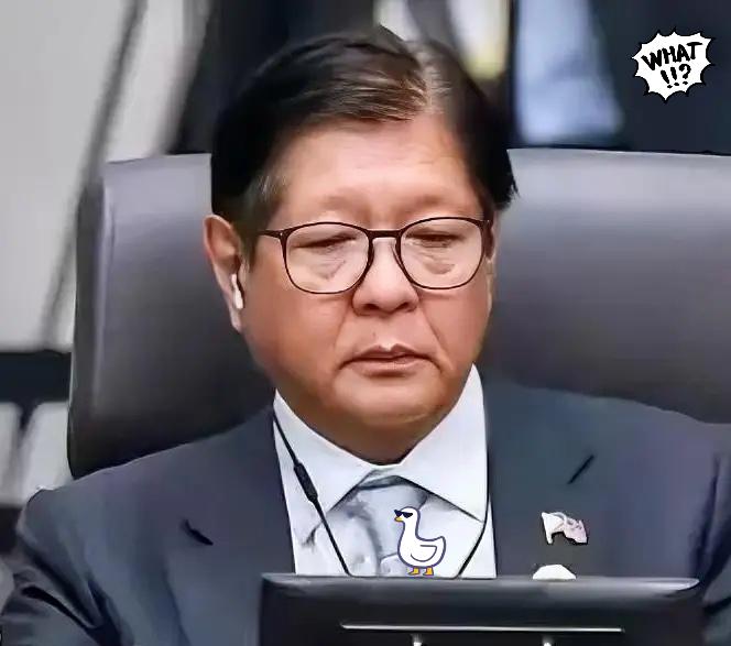 快报，快报，当地时间5月20日，菲律宾最高法院给出关键表决结果，9票赞成、5票